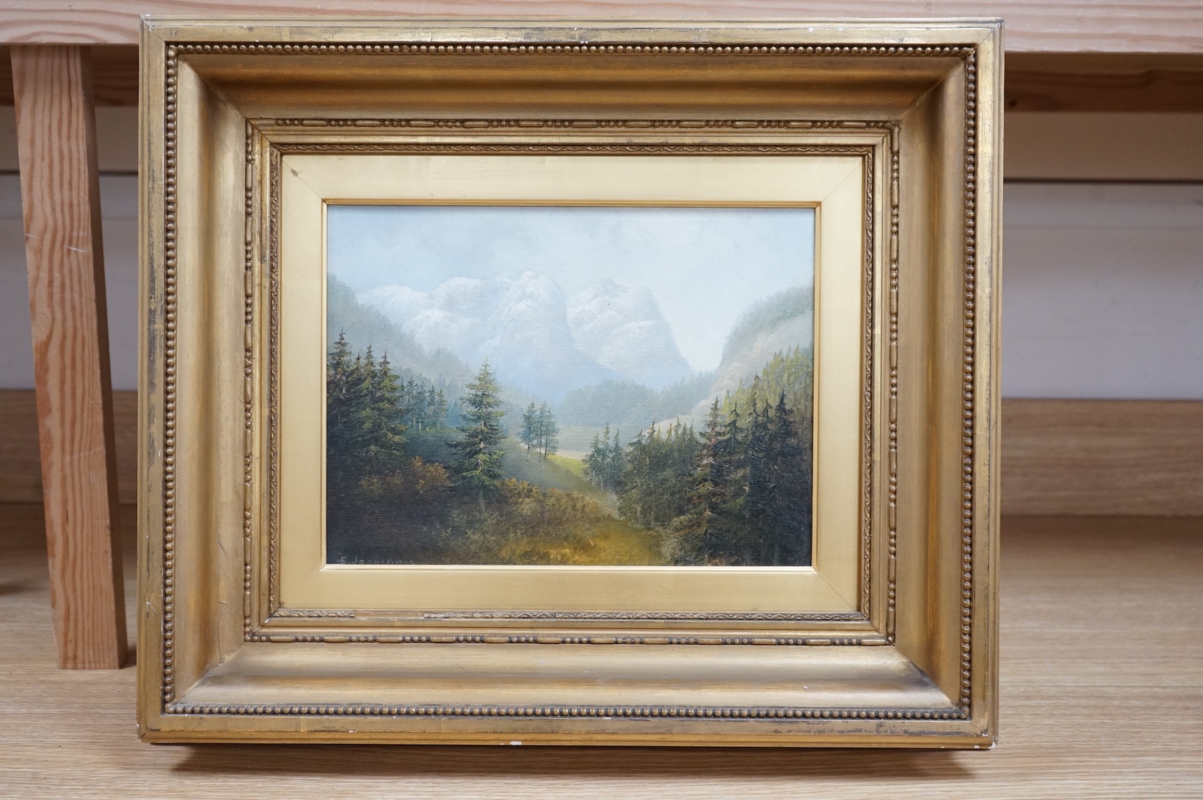 E. Jaques, Mountainous landscape, signed and indistinctly dated 1920?, oil on canvas, 22 x 29cm, gilt frame